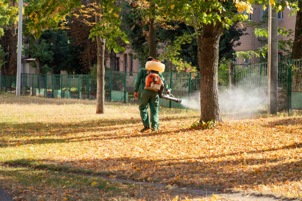Best Mosquito Control Services  in Highspire, PA