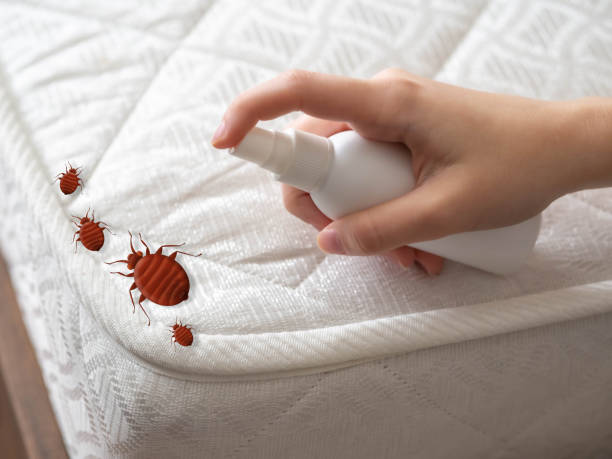 Pest Control Cost in Highspire, PA
