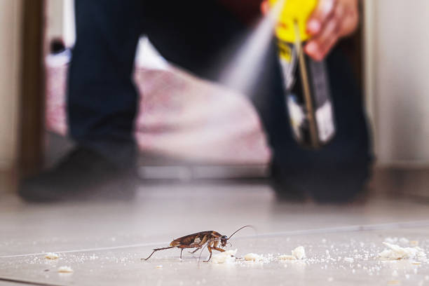 Best Pest Control Cost  in Highspire, PA